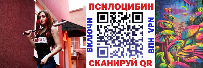 Галлюциногенные грибы Psilocybine cubensis  Знаменск 